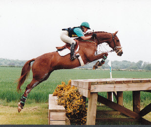 wpaee766f8_0f.jpg