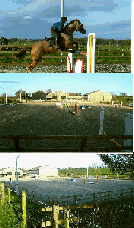 wpc1e53e0f.gif